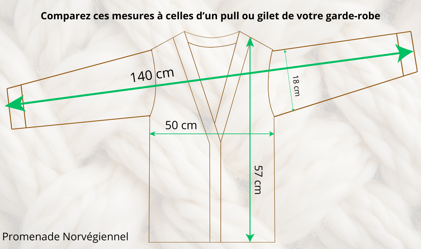 Pull Promenade norvégienne - Lopapeysa